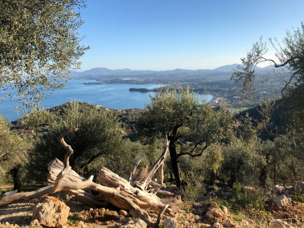 House Tanna Of Villa Intaba Spectacular Sea Views Corfiot Riviera Spartilas Corfu Island Greece Close To Ipsos Beach Spartylas Екстериор снимка